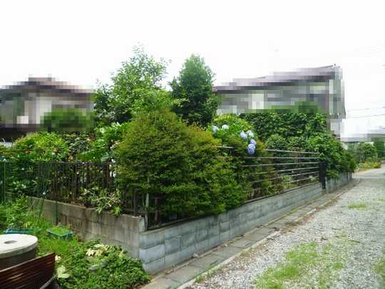 Local land photo. ☆ Land area 124.57 sq m (37.68 square meters)