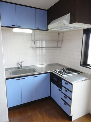 Kitchen. System kitchen