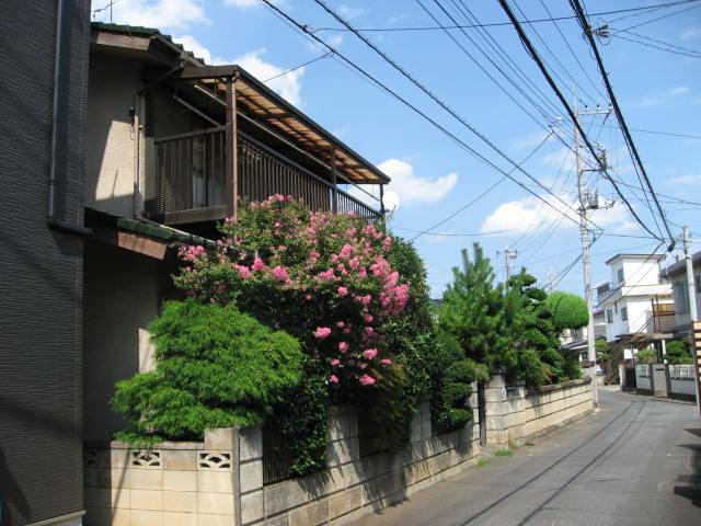 Local photos, including front road. It is a positive per well per south road. 