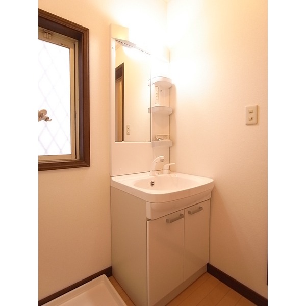 Washroom. Shampoo dresser
