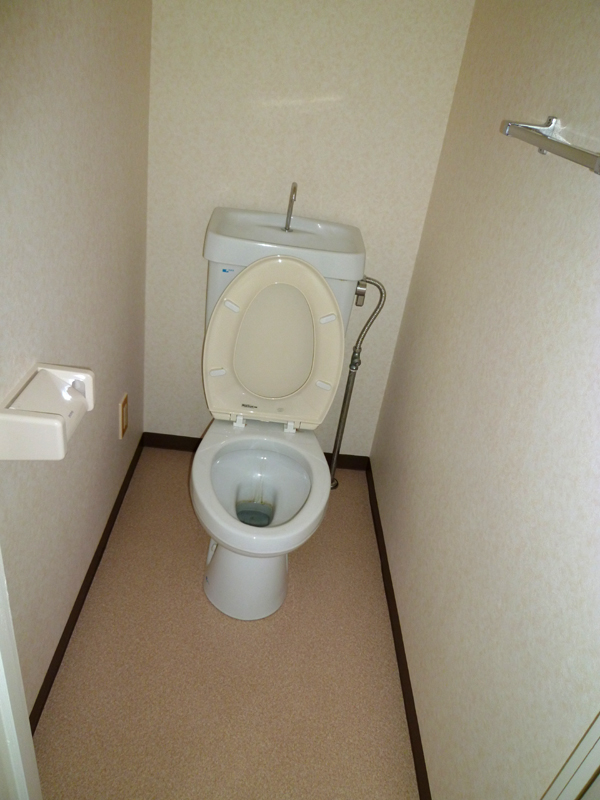 Toilet. Toilet