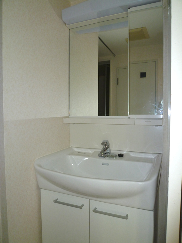 Washroom. This basin