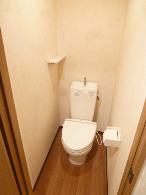 Toilet. Toilet with cleanliness