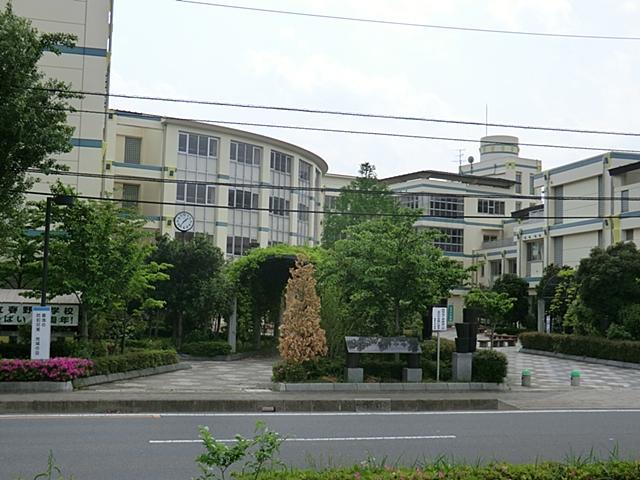 Other. Haruno junior high school