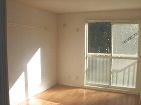 Living and room. Room in even sunny