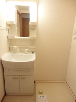 Washroom. Shampoo DS