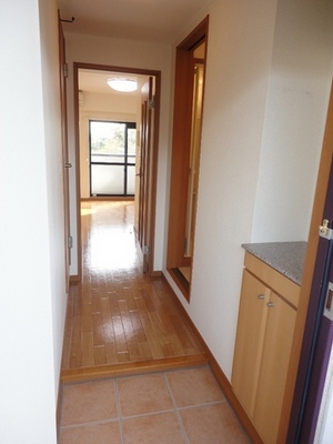 Entrance. Made marked fall with entrance hall