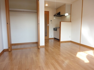 Living and room. Housed convenient closet type