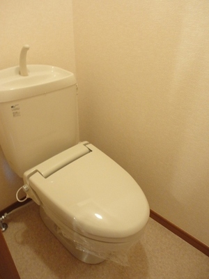 Toilet. Heating toilet seat