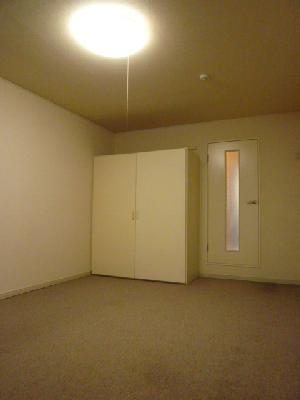 Living and room. Rug laid