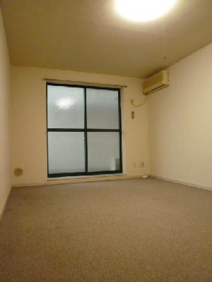 Other room space. Rug laid