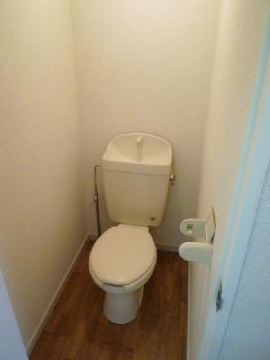 Toilet. Western-style flush toilet