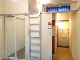 Living and room. Various use with loft