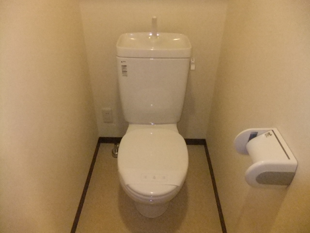 Toilet. Toilet with cleanliness