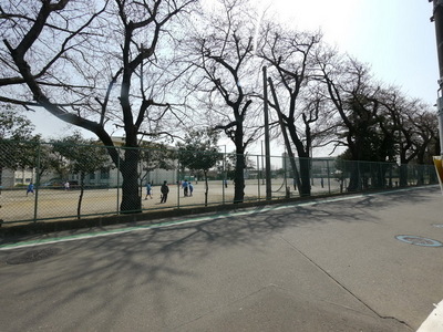 Other. (Other) up to 10m