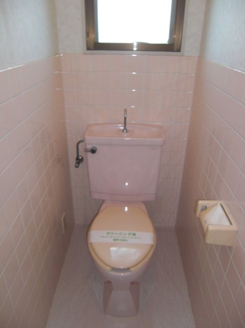 Toilet. There is a window in the toilet, Bright is.