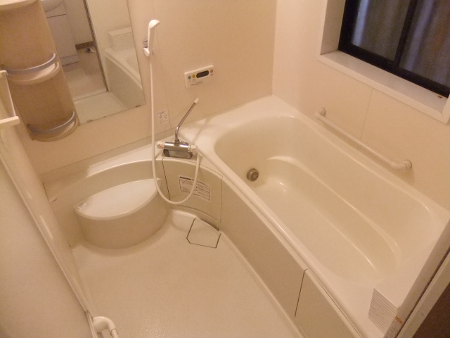 Bath. Spacious bathroom