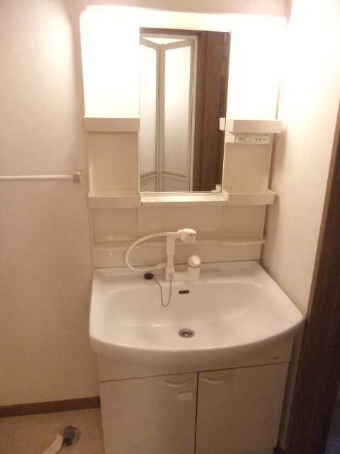 Washroom. Shampoo with Dresser