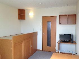 Living and room. There is storage space under the bed