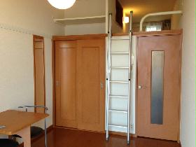 Living and room. Various use with loft