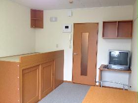 Living and room. There is storage space under the bed