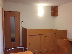 Living and room. There is storage space under the bed