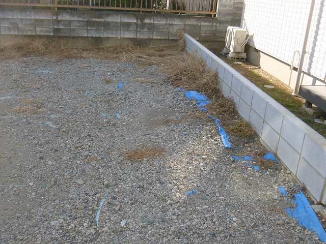 Local land photo. Local (10 May 2013) Shooting