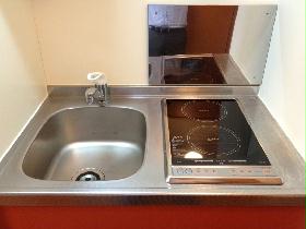 Kitchen. Type with electric stove 2-neck