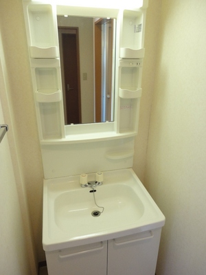 Washroom. Wash basin