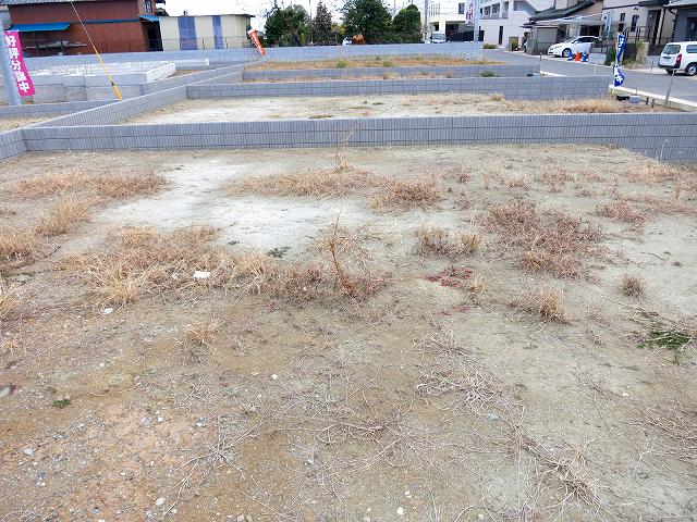 Local land photo. Local (12 May 2013) Shooting