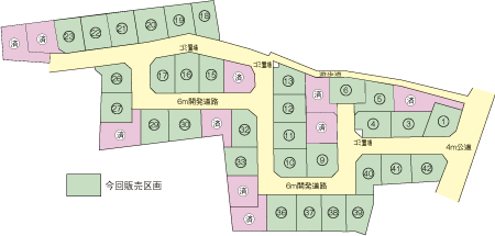 The entire compartment Figure