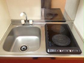 Kitchen. Type with electric stove 2-neck