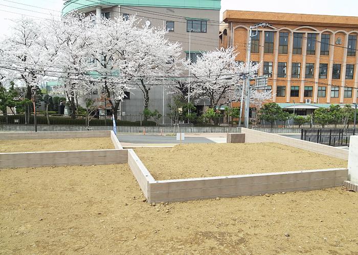 Local land photo. Local photo (2013 March 29 shooting)