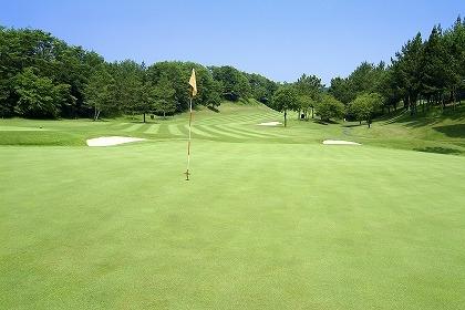 Other Environmental Photo. Golf course that can go in the 1500m walk to Omiya International Country Club, Omiya International Country Club. You can enjoy from beginner to those of the single in the 45 course of the prefecture's largest. Also, Golf course can go in 15 minutes before and after There are also six other by car! It is exactly golf spree of environment! 