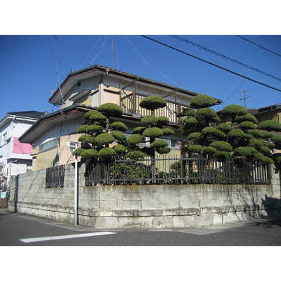 Local land photo. Local is a photo. 