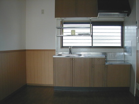 Kitchen. There is a kitchen window!