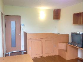 Living and room. There is storage space under the bed