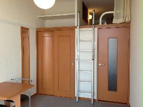 Living and room. Various use with loft