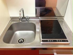 Kitchen. Type with electric stove 2-neck