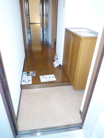 Entrance. Entrance with cupboard