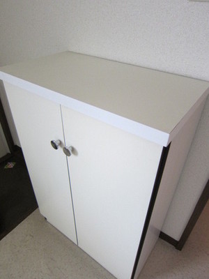 Entrance. Shoes is if ago convenient front door storage