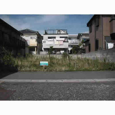 Local land photo. appearance