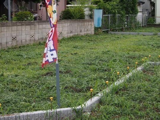 Local land photo. Local Photos