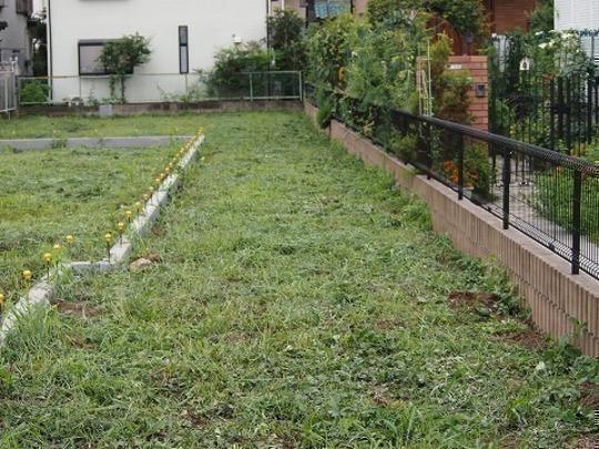 Local land photo. Local Photos