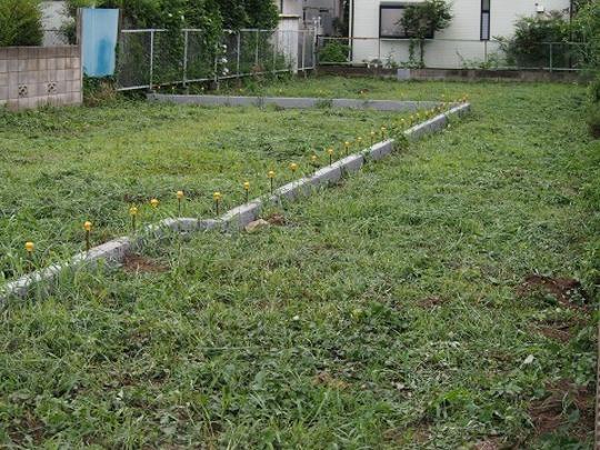 Local land photo. Local Photos