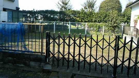 Local land photo. From the front road (1)