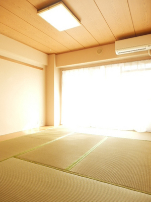 Living and room. Japanese style room