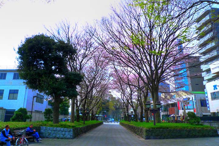 park. Hikawa 286m to green space (park)