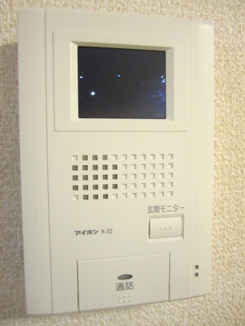 Security. TV monitor Hong