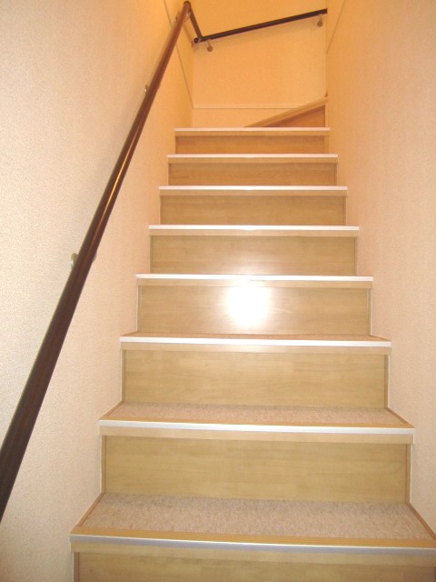 Other. It is a short staircase to open the front door.
